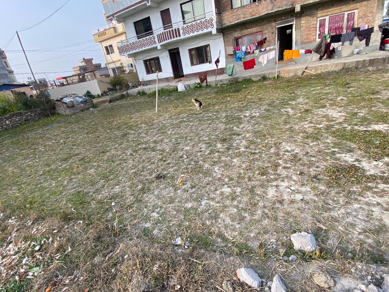Picture of Mahalaxmi Municipality, Bagmati